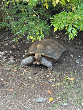 長崎バイオパークに投稿された画像（2025/9/8）