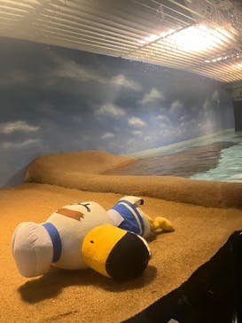 マリンワールド海の中道に投稿された画像（2025/9/8）