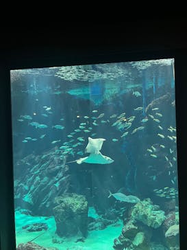 マリンワールド海の中道に投稿された画像（2025/9/8）