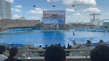 名古屋港水族館に投稿された画像（2025/9/8）