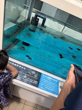 名古屋港水族館に投稿された画像（2025/9/8）