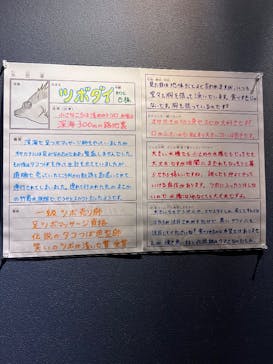 竹島水族館に投稿された画像（2025/9/8）