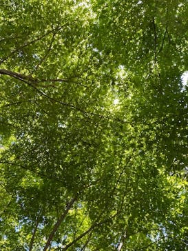 箱根湯寮に投稿された画像（2025/9/8）