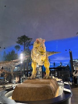 福井県立恐竜博物館に投稿された画像（2025/9/8）
