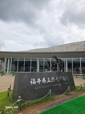 福井県立恐竜博物館に投稿された画像（2025/9/8）