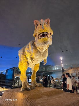 福井県立恐竜博物館に投稿された画像（2025/9/8）