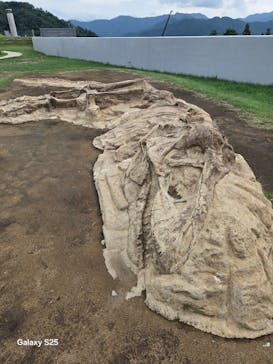 福井県立恐竜博物館に投稿された画像（2025/9/8）