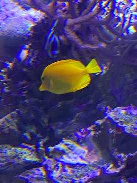 名古屋港水族館に投稿された画像（2025/9/8）