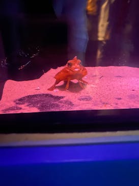 名古屋港水族館に投稿された画像（2025/9/8）