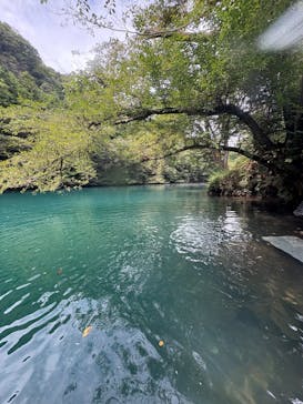 アイリーオンSUP（サップ）に投稿された画像（2025/9/8）