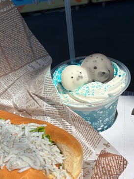 新江ノ島水族館に投稿された画像（2025/9/8）