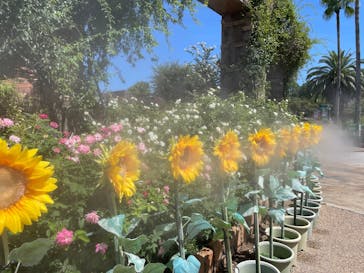 ひらかたパークに投稿された画像（2025/9/8）