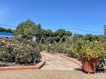 ひらかたパークに投稿された画像（2025/9/8）