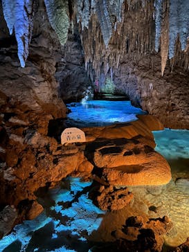 おきなわワールドに投稿された画像（2025/9/8）