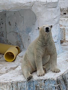 天王寺動物園に投稿された画像（2025/9/8）