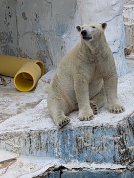 天王寺動物園に投稿された画像（2025/9/8）