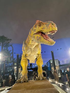 福井県立恐竜博物館に投稿された画像（2025/9/8）