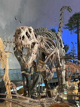 福井県立恐竜博物館に投稿された画像（2025/9/8）