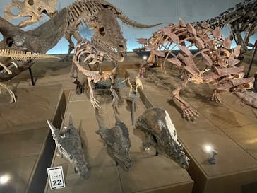 福井県立恐竜博物館に投稿された画像（2025/9/8）