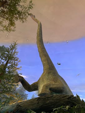 福井県立恐竜博物館に投稿された画像（2025/9/8）