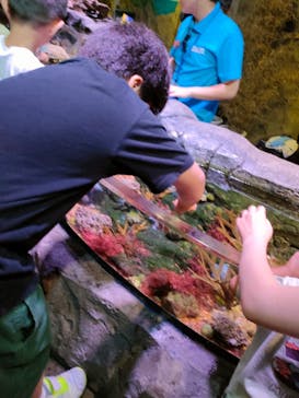 レゴランドⓇ・ジャパン・リゾートに投稿された画像（2025/9/8）