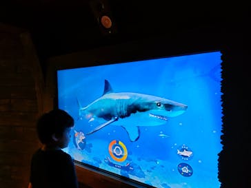 レゴランドⓇ・ジャパン・リゾートに投稿された画像（2025/9/8）