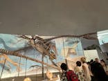 福井県立恐竜博物館に投稿された画像（2025/9/8）
