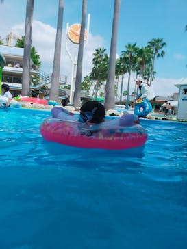 ナガシマスパーランドに投稿された画像（2025/9/8）