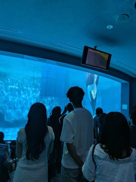 名古屋港水族館に投稿された画像（2025/9/8）