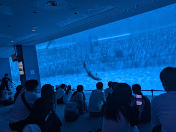 名古屋港水族館に投稿された画像（2025/9/8）