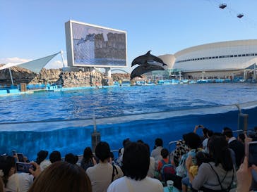 名古屋港水族館に投稿された画像（2025/9/8）