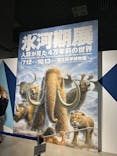 特別展「氷河期展 〜人類が見た4万年前の世界〜」（国立科学博物館）に投稿された画像（2025/9/8）