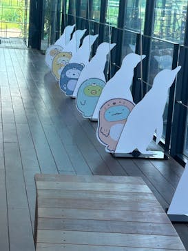 上越市立水族博物館 うみがたりに投稿された画像（2025/9/8）