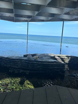 上越市立水族博物館 うみがたりに投稿された画像（2025/9/8）