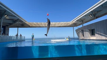 上越市立水族博物館 うみがたりに投稿された画像（2025/9/8）