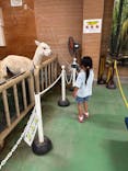 東武動物公園に投稿された画像（2025/9/8）