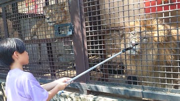 宇都宮動物園に投稿された画像（2025/9/8）