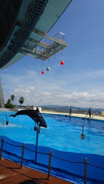 マリンワールド海の中道に投稿された画像（2025/9/8）