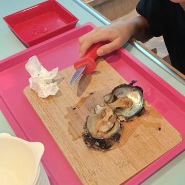 菊池パールに投稿された画像（2025/9/8）