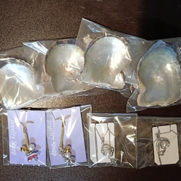 菊池パールに投稿された画像（2025/9/8）