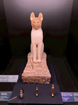 ACN ラムセス大王展 ファラオたちの黄金に投稿された画像（2025/9/8）