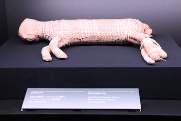 ACN ラムセス大王展 ファラオたちの黄金に投稿された画像（2025/9/8）