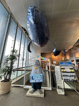 大分マリーンパレス水族館 「うみたまご」に投稿された画像（2025/9/8）