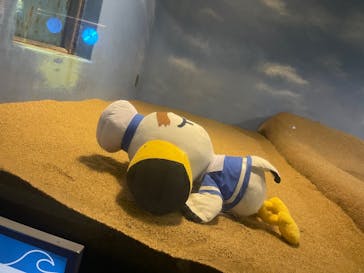 マリンワールド海の中道に投稿された画像（2025/9/8）