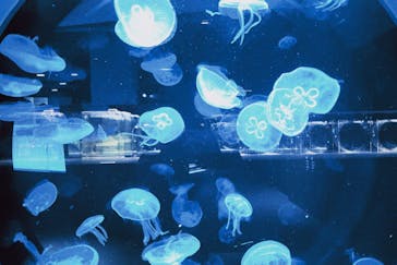 AOAO SAPPOROに投稿された画像（2025/9/9）