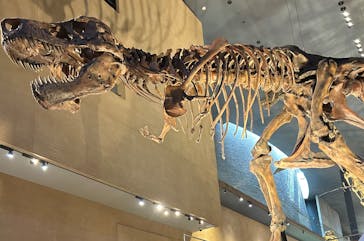 北九州市立自然史・歴史博物館（いのちのたび博物館）に投稿された画像（2025/9/9）