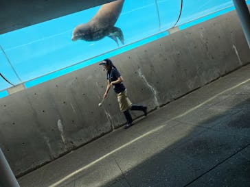 城崎マリンワールドに投稿された画像（2025/9/9）