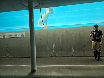 城崎マリンワールドに投稿された画像（2025/9/9）