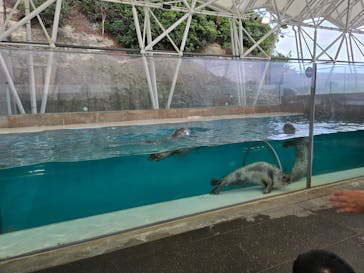 城崎マリンワールドに投稿された画像（2025/9/9）