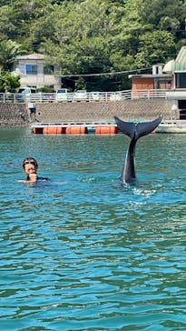 下田海中水族館に投稿された画像（2025/9/9）